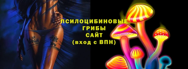 амф Магас