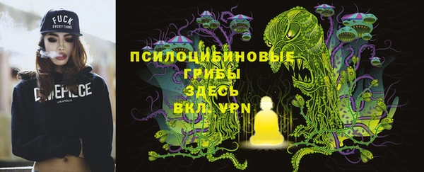 гидропоника Балахна